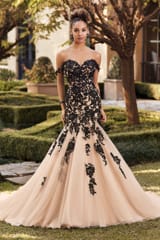 Bridal Dress: Sophia Tolli Bridal Collection - Y3116 - Black Wedding Dress With Flared Skirt 