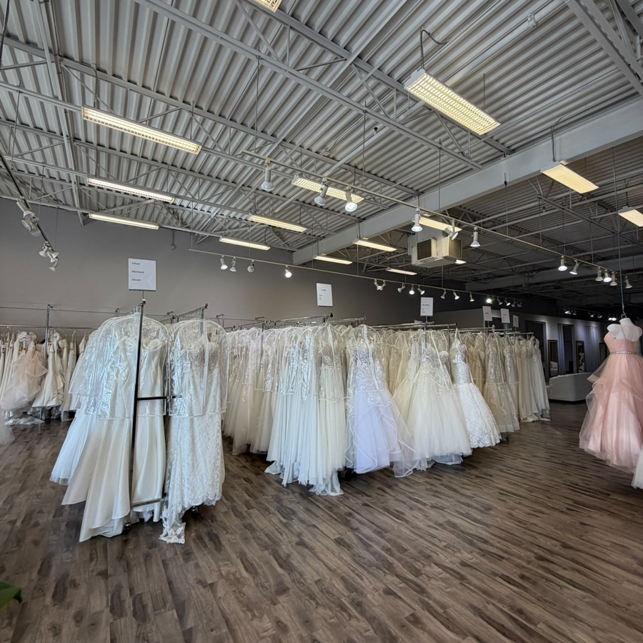 Plus size wedding dresses near Toronto