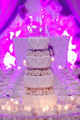 Natalya Cake: Pleats and Roses