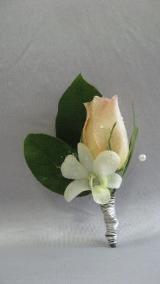 Clothes: Jimmy's Rosebud