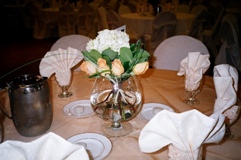 Clothes: A Cool Froth