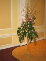 Clothes: A Nice Tall Drink