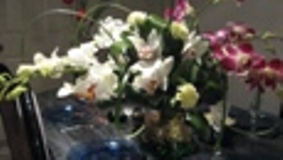 Clothes: An Exotic Draught