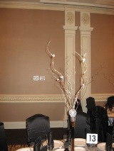 Clothes: Champagne Shooting Star