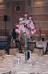 Clothes: Gorgeous Geyser