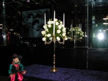 Clothes: Smooth and Creamy