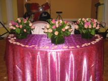 Clothes: Tip-Top Tabletop